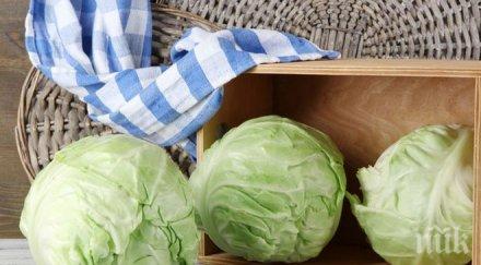 зеленчук помага десетки болести струва стотинки