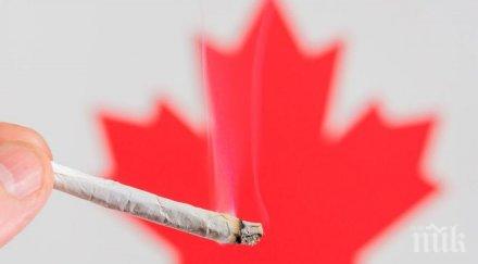 долната камара парламента канада одобри легаризирането марихуаната