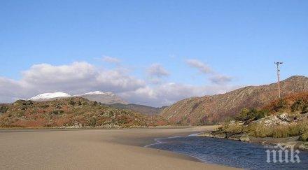 убиват плаващите пясъци оцелеете погълне кит гадно жили пчелата