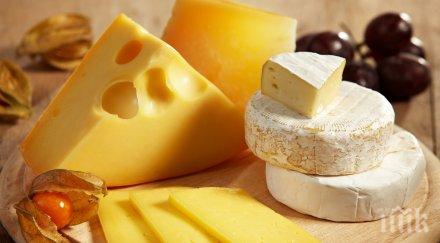 млечните продукти пазара български