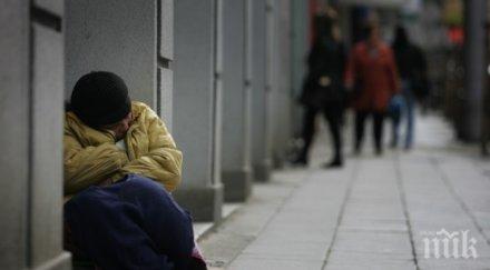 затягат контрола пловдивските приюти бездомни