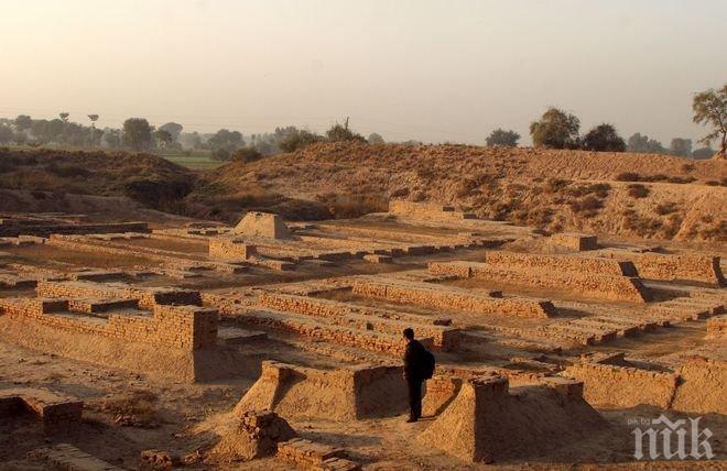 Учени с невероятно постижение, разкриха загадка от преди 4600 години