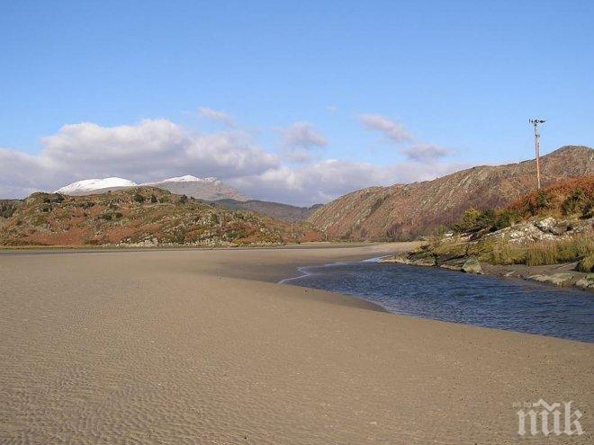 Убиват ли плаващите пясъци, може ли да оцелеете, ако ви погълне кит и къде най-гадно жили пчелата