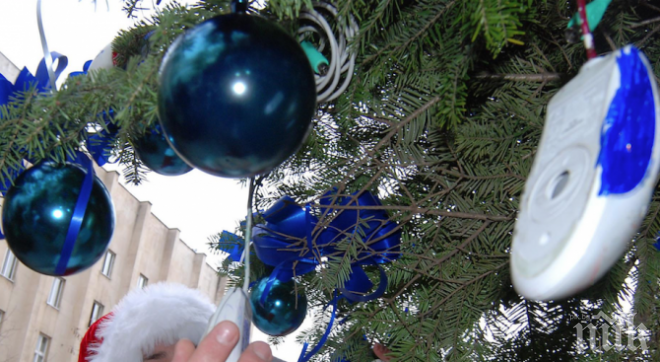 Елхата в Благоевград - 25 метра блясък за Коледа 