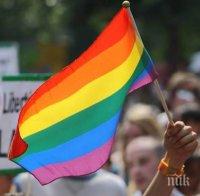 И Австрия призна еднополовите бракове