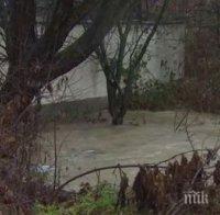 Бедствие! Село Гърляно е без ток, паднали са два електрически стълба