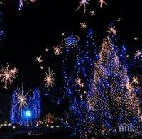 Палят Коледната елха в Асеновград 