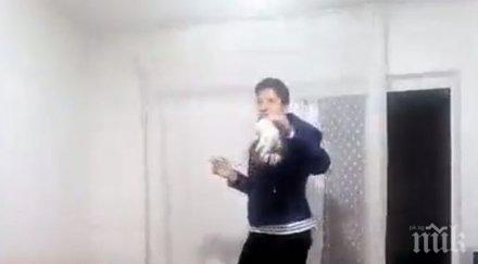 гадно брутален клип жена ритаща коте взриви мрежата видео