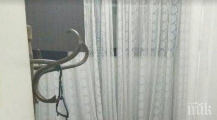 първо пик обраха клуб бсп софия снимки