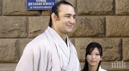 котоошу събаря родната къща джулюница сумо легендата вдига палат шогун