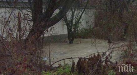 бедствие село гърляно без ток паднали два електрически стълба