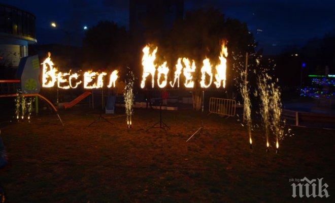 Грейна коледната елха в Радомир