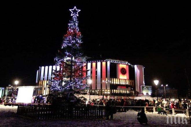 Коледната елха в София грейва във вторник