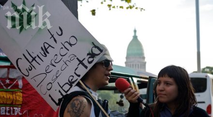 аржентинците масово искат легализиране марихуаната