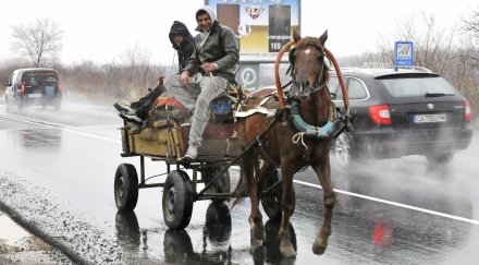 австрийският пресе репортаж факултета