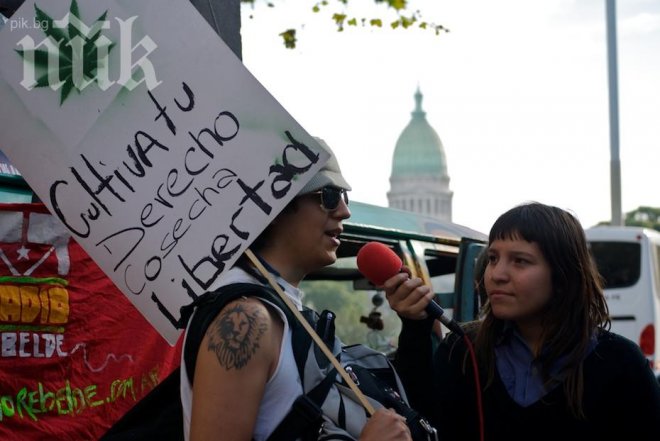 Аржентинците масово искат легализиране на марихуаната