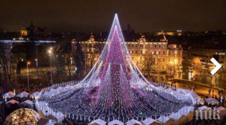 вижте намира красивата елха света