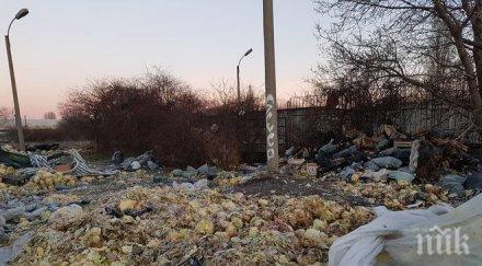 вниманието столична община изглежда една зеленчукова борса насред столицата потресаващи снимки