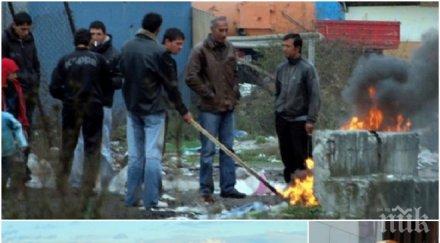 чудо брюксел дава пари печки забраняват дървата въглищата