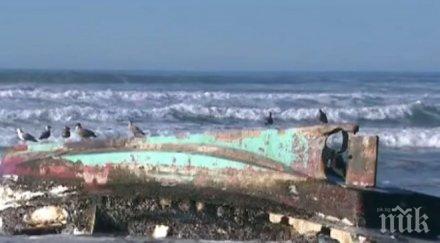 невероятно лодка изчезнала цунамито япония 2011 година появи сащ