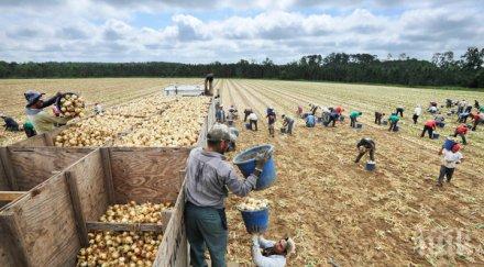 възходящ тренд сащ разкриват все повече работни места