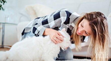 футуролог прогнозира 2050 година говорим домашните любимци