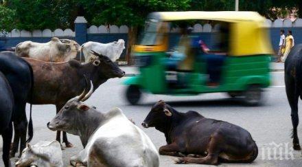 шокиращо смъртна присъда получава всеки нарушил обикновени неща