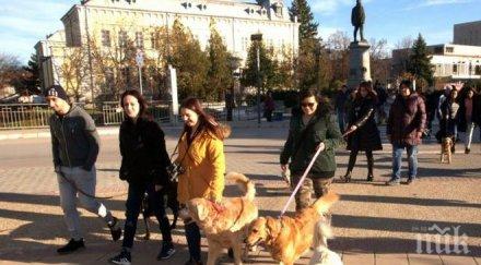 собственици кучета протестираха силистра