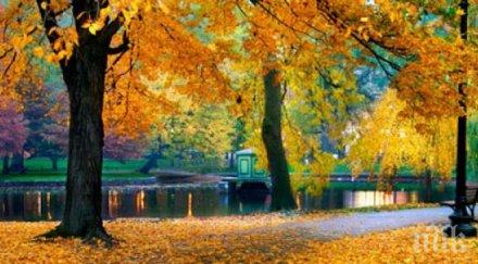 слънчев ден затоплянето продължава температурите достигнат градуса