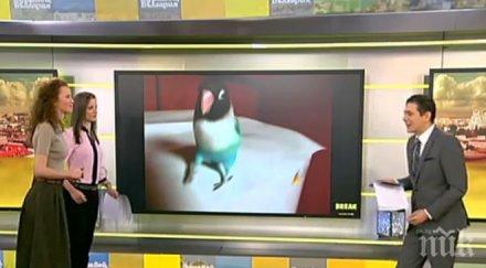 виктор николаев хвали ефир отказах цигарите