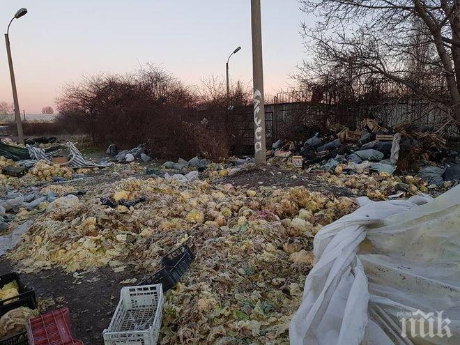 На вниманието на Столична община: Ето как изглежда една зеленчукова борса насред столицата (ПОТРЕСАВАЩИ СНИМКИ)