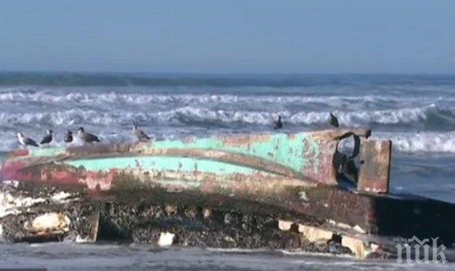 НЕВЕРОЯТНО! Лодка, изчезнала след цунамито в Япония през 2011 година, се появи в САЩ