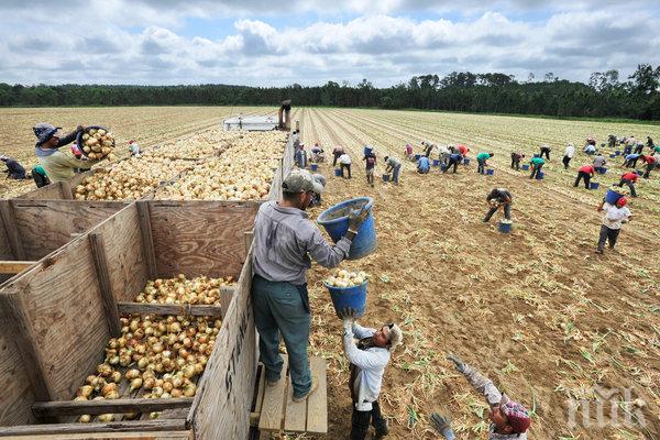 ВЪЗХОДЯЩ ТРЕНД! В САЩ се разкриват все повече работни места