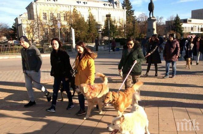 Собственици на кучета протестираха в Силистра