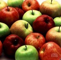 Пандизчия поиска 20 000 лева обезщетение заради... липса на ябълки в менюто