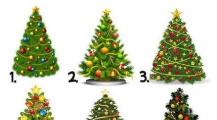 тест изберете елха вижте чака 2018