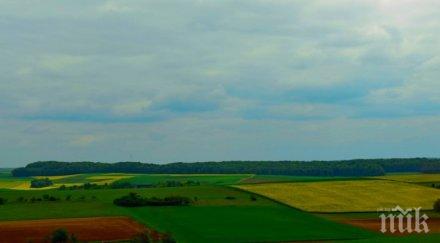 сделка нивите поскъпват европредседателството