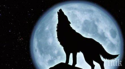 учени пълнолунията крият смъртни опасности мотористите