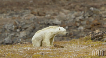 ужасяващо изглежда глобалното затопляне видео