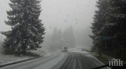 ремонтират прохода петрохан