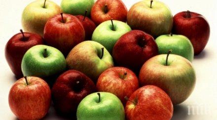 пандизчия поиска 000 лева обезщетение заради липса ябълки менюто