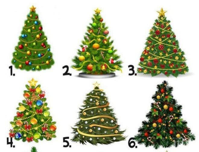 ТЕСТ! Изберете си елха и вижте какво ви чака през 2018 г.