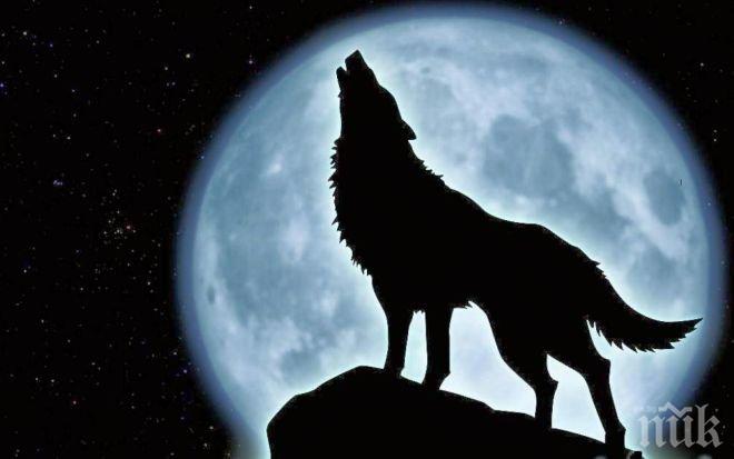 УЧЕНИ: Пълнолунията крият смъртни опасности за мотористите