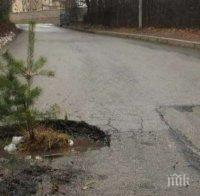 Жителите на Панчарево пълнят дупки на пътя с коледни елхички