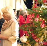 Вижте как британското кралско семейство внесе духа на Коледа в дома си (ВИДЕО/СНИМКИ)