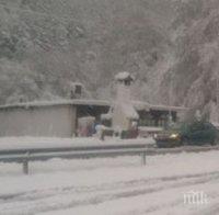 В Драгоман снежната покривка достигна 3 см, сняг вали във Враца, Монтана, Бургас и София