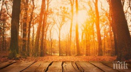 отново декемврийска пролет температурите скачат градуса