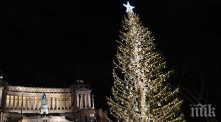 проскубана коледна елха скапа настроението римляни