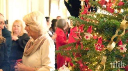 вижте британското кралско семейство внесе духа коледа дома видео снимки