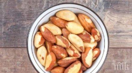 уникалните свойства бразилския орех пазят здрави